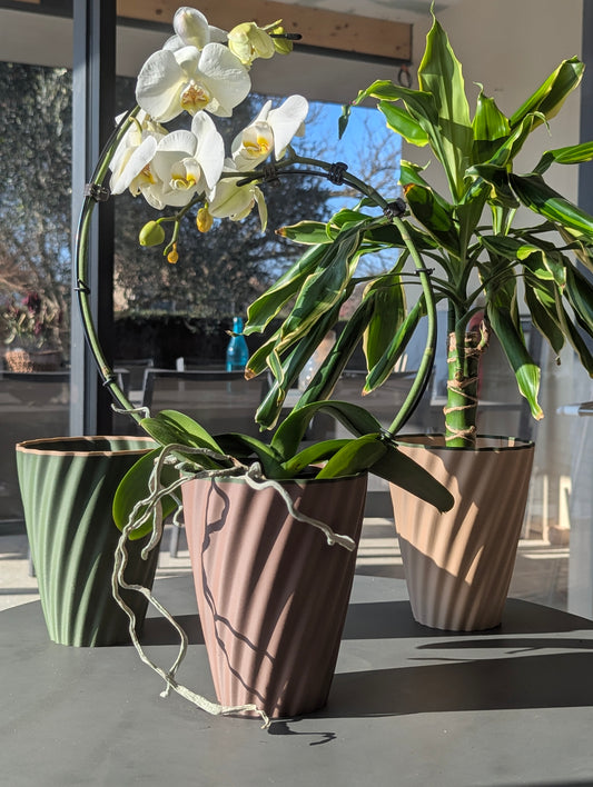 AVA Pot d'orchidée avec réserve d'eau Chocolat/Eucalypthus